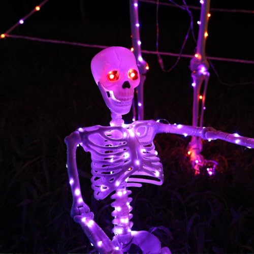Halloween Decorations Outdoor Skeletons Set (Purple)
