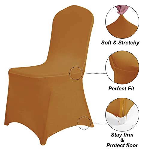 Waterproof Spandex Chair Cover 25PCS (25 Count)