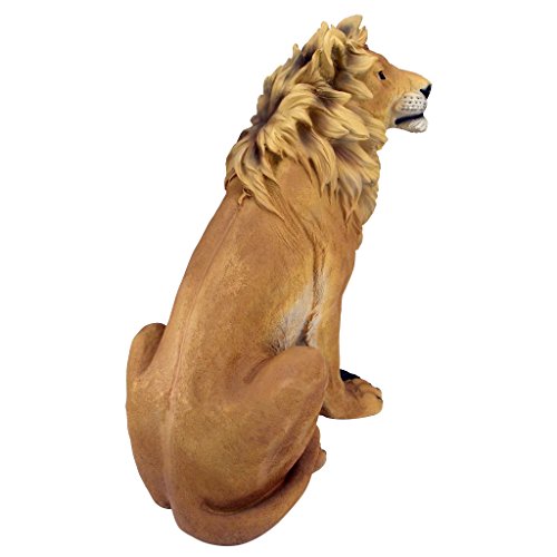 King of Beasts Lion Indoor