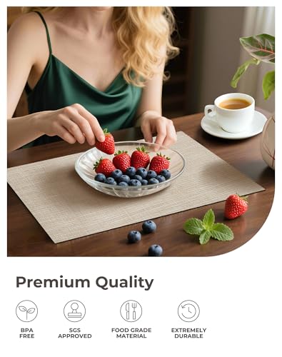 Woven Vinyl Beige Placemats Set of 12 (12 Count)