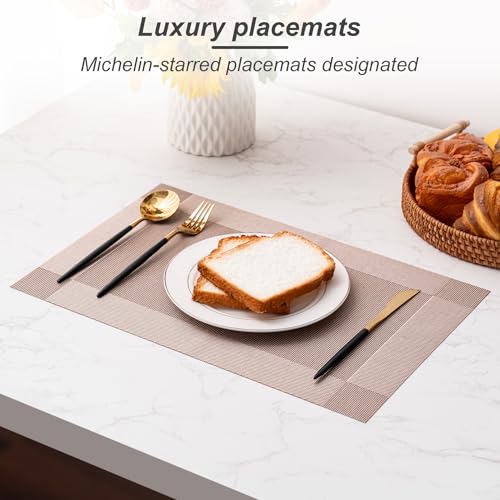 Placemats Set of 6 Washable Indoor (6 Count)
