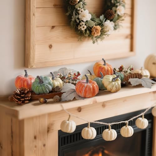 25 PCS Pumpkin Decor Set (25 Count)