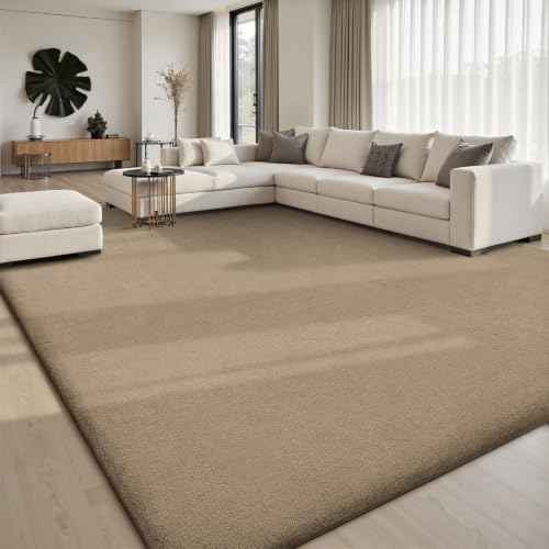 6x9 Area Rugs for Living Room Bedroom
