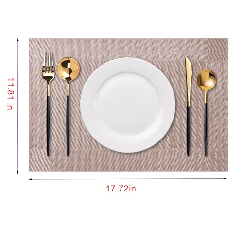 Placemats Set of 6 Washable Indoor (6 Count)