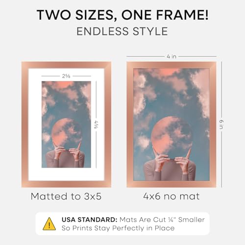 4x6 Rose Picture Frame (2 Count)