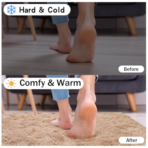 Rugs for Living Room (56 Sq Ft)