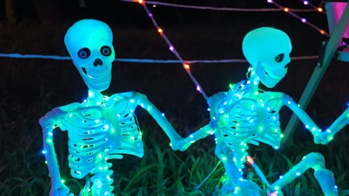 Blue and Green Light up Skeletons Halloween Decor (Blue&Green Light)