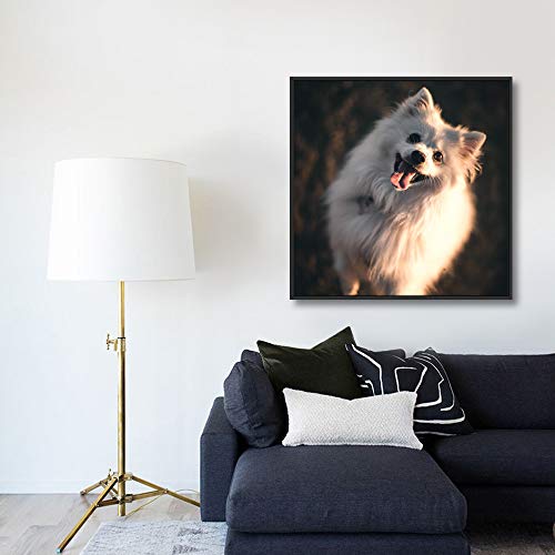 Custom Framed Canvas Prints with Your Photo for Pets