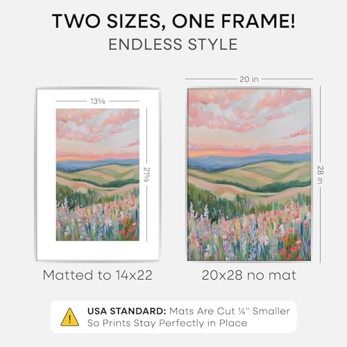 20x28 Silver Picture Frame (2 Count)