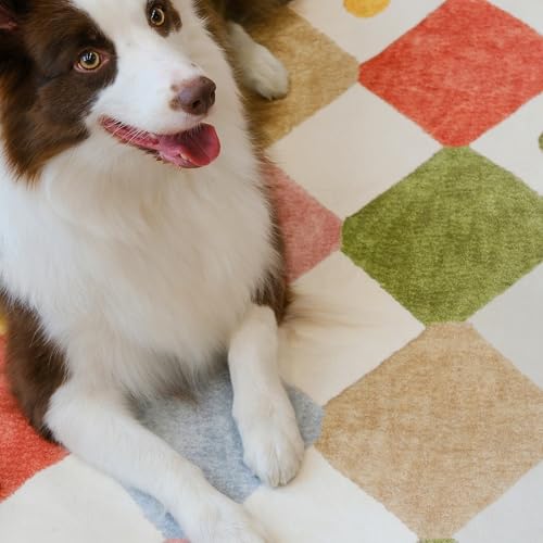 Corner Rug Washable Kids Rug Colorful Nursery Classroom Play Mat (64 Sq Ft)