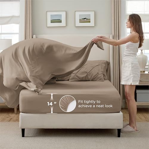 7 Piece Queen Comforter Set & Sheet Set