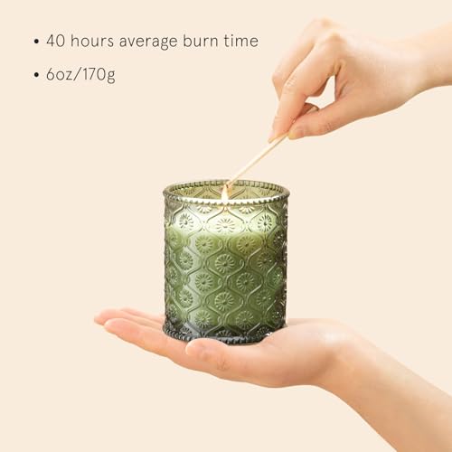 Pomegranate & Pine Scented Candles for Home (8.1 Ounce)