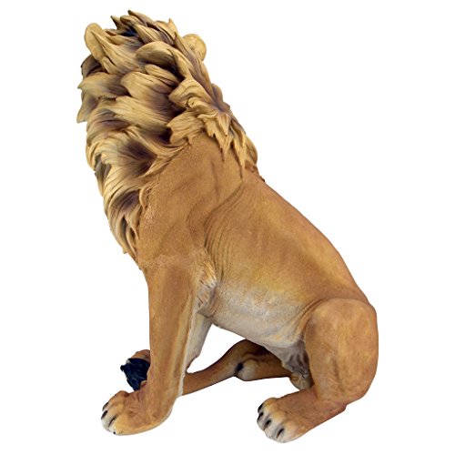 King of Beasts Lion Indoor
