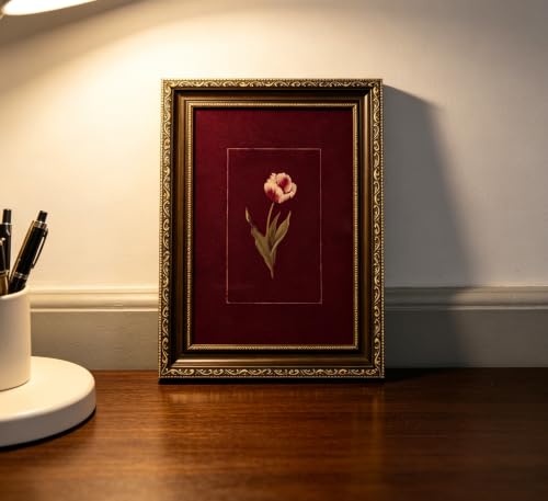 Vintage Gold Framed Tulip Wall Art