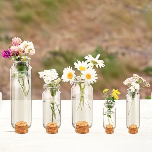 45 Pcs Spell Jar Mini Glass Potion Bottles Cork Stopper (98 Count)