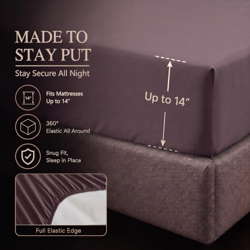 King Size Comforter Set Cocoa Powder
