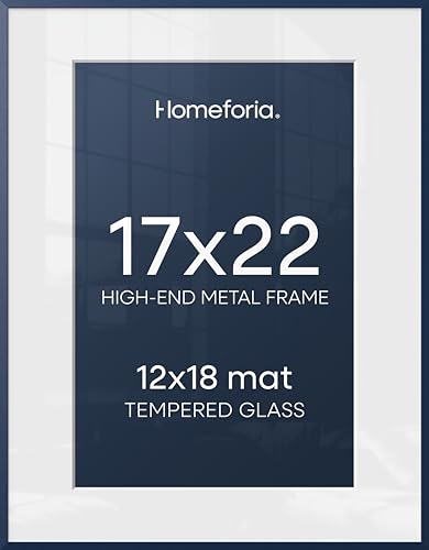 17x22 Blue Picture Frame (2 Count)