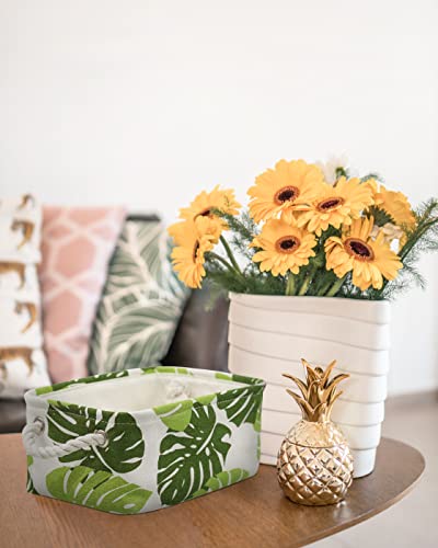 Storage Cubes (6 Count)