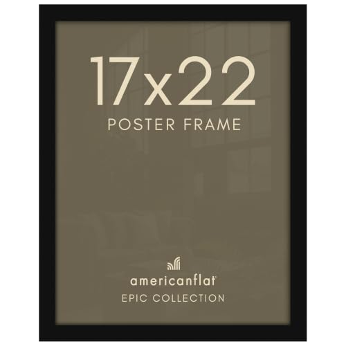 17x22 Poster Frame