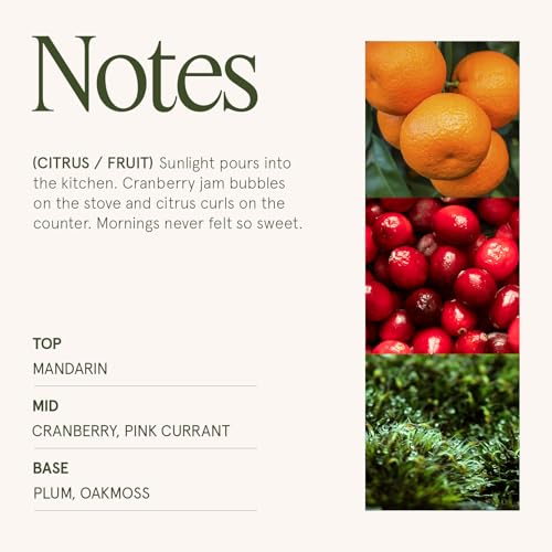 Ruby Berry Bliss Scented Candles for Home