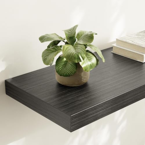 Wall Shelf Set of 2 (2 Count)