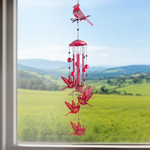 Cardinal for Women