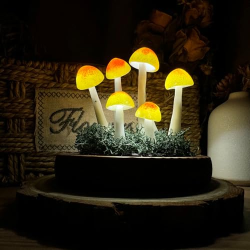 Mushroom Lamp (20 Count)