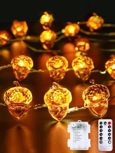 Acorn Fall Lights Battery Operated LED String Lights with Remote & Timer