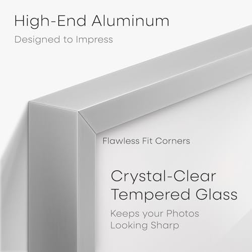 5.5x8.5 Silver Business License Frame (3 Count)