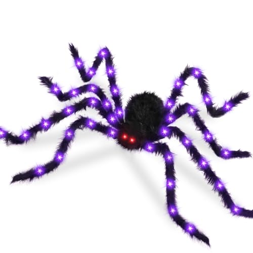 Halloween Decor (Purple & Black)