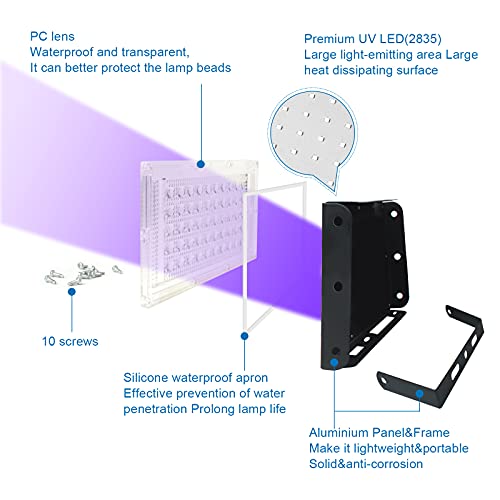 2 Pack 50W Black Lights (2 Count)