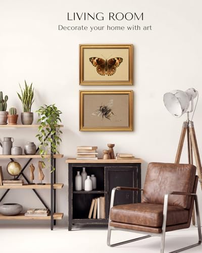 Gold Framed Vintage Butterfly Wall Art