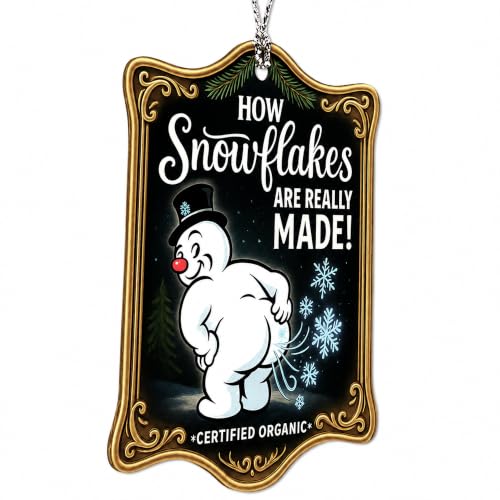 Snowflakes Funny Christmas Inappropriate Christmas Ornaments 2026