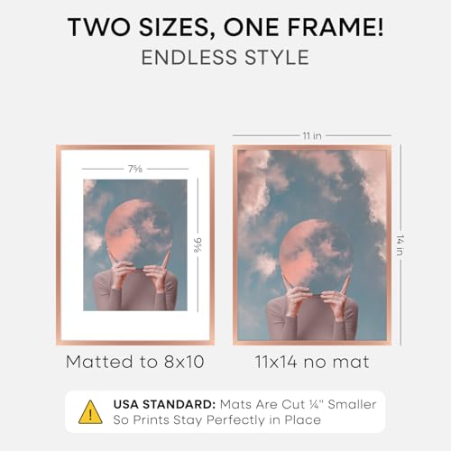 11x14 Rose Picture Frame (2 Count)