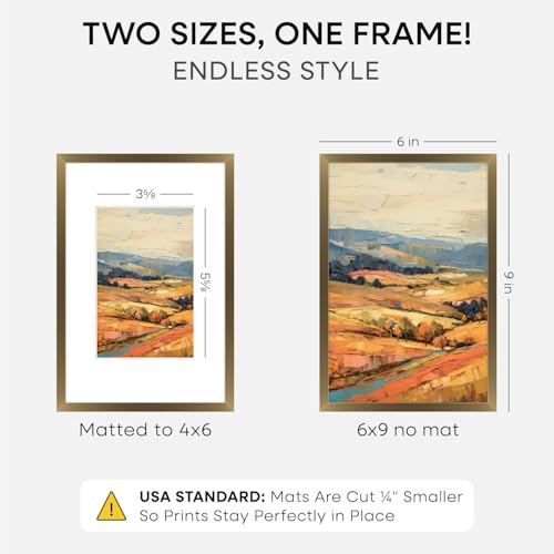 6x9 Bronze Picture Frame