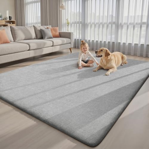 6x9 Area Rugs for Living Room Bedroom