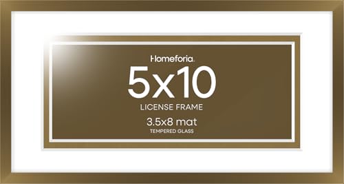 5x10 Bronze License Frame (3 Count)