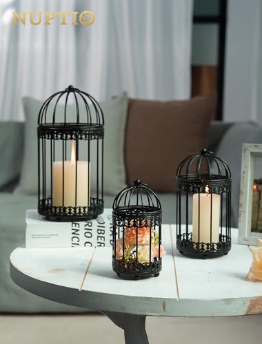 Black Decorative Bird Cage (2 Count)