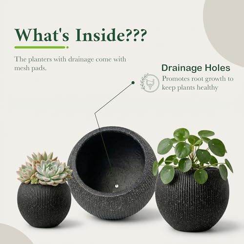 Premium Mt Sherman Fiberstone Sphere Planter for Indoor Outdoor Use