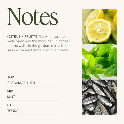 Citrus Mint Scented Candles for Home (6 Ounce)