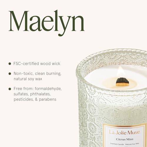 Citrus Mint Scented Candle for Home (19.4 Ounce)