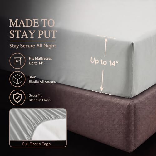 Queen Comforter Set Light Grey