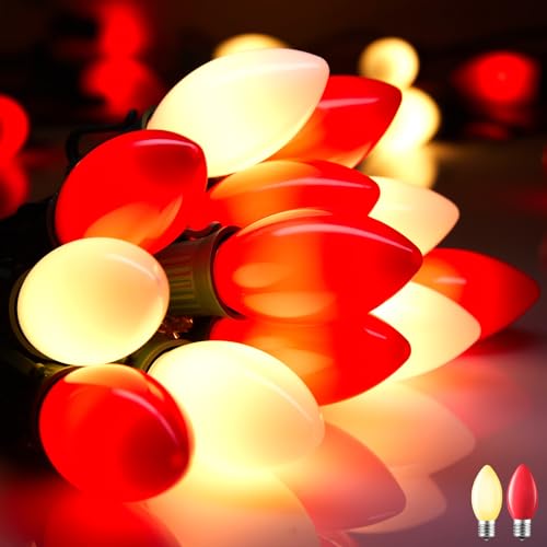 100Ft Christmas Lights Outdoor (100 Count)
