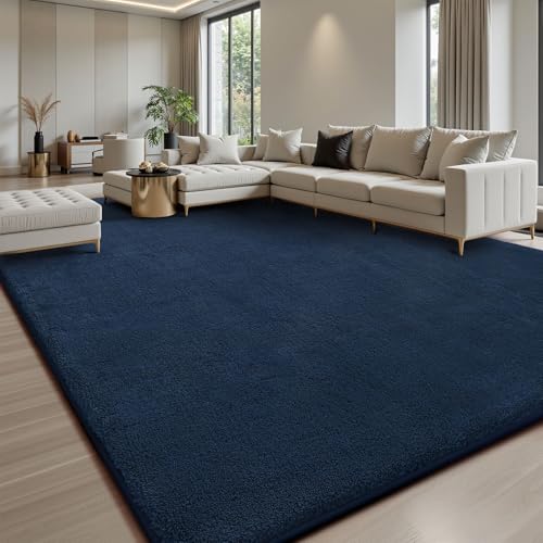 Area Rugs 9x12 for Living Room Bedroom