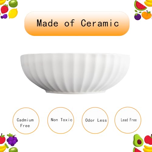 Large Ceramic Fruit Bowl for Kitchen Counter