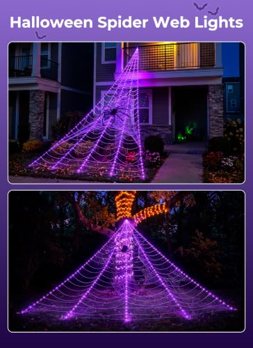 Halloween Decorations Outdoor (Purple)