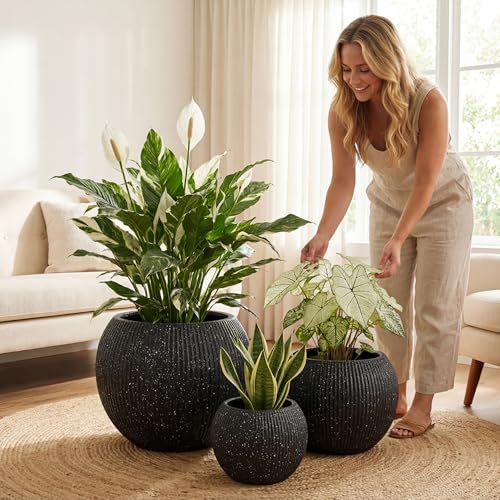 Premium Mt Sherman Fiberstone Sphere Planter for Indoor Outdoor Use