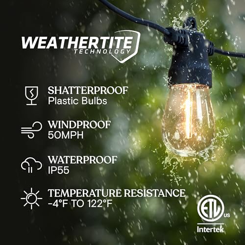 Ambience Hybrid Outdoor String Lights (48 Foot)