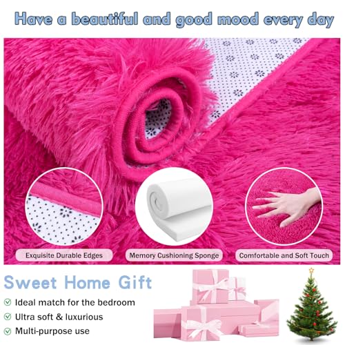 Soft Fluffy Rug for Girls Bedroom 2x3 Feet Hot Pink