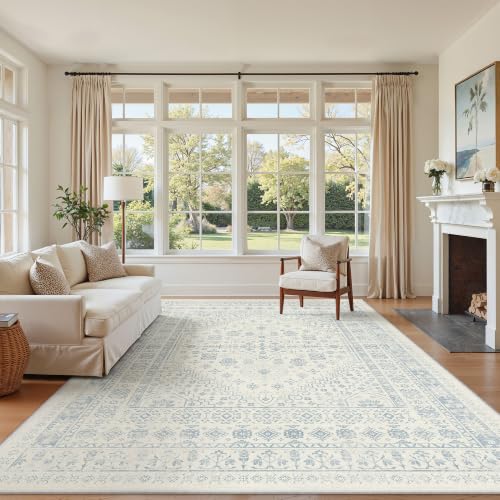 6x9 Area Rugs for Living Room (54 Sq Ft)